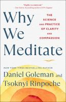 Why_we_meditate